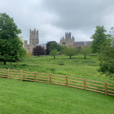 27 May - Ely Cathedral from a distance